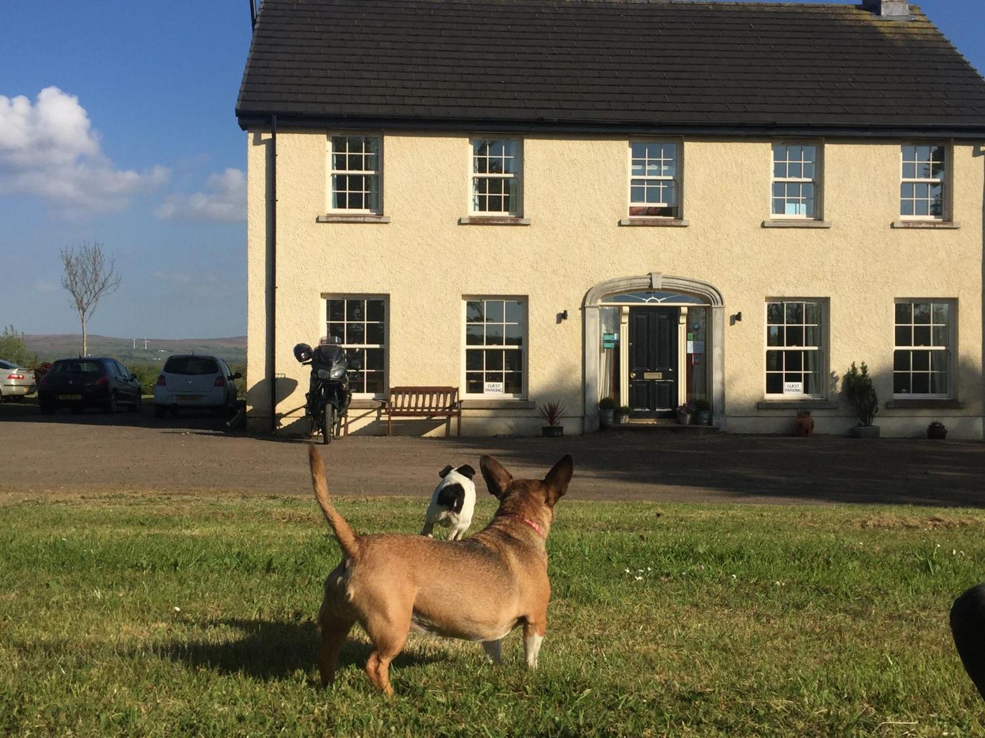 The Rocks B&B Crumlin  Exterior photo